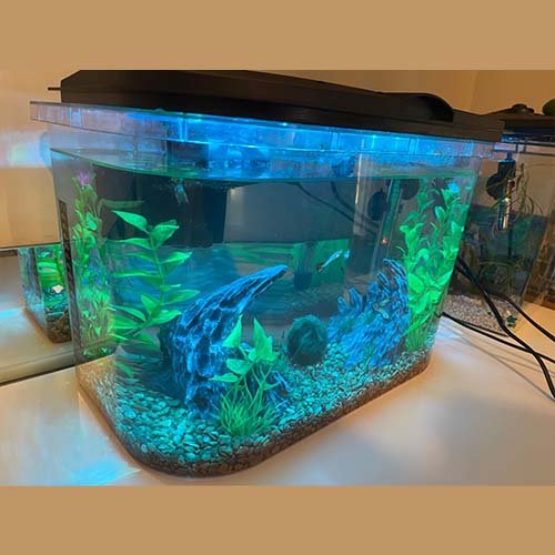 Koller Products Smart Aquarium