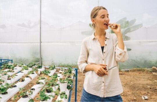 The Plant-Based Eating Surge: 2025 Sees Record Growth in Vegan Products