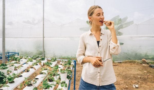 The Plant-Based Eating Surge: 2025 Sees Record Growth in Vegan Products